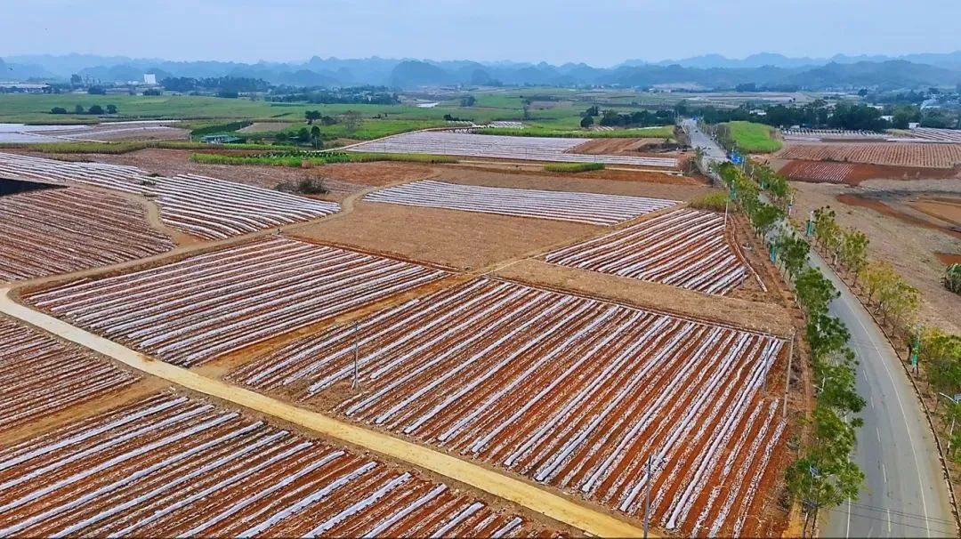 1739928738757030434.jpg 323.jpg