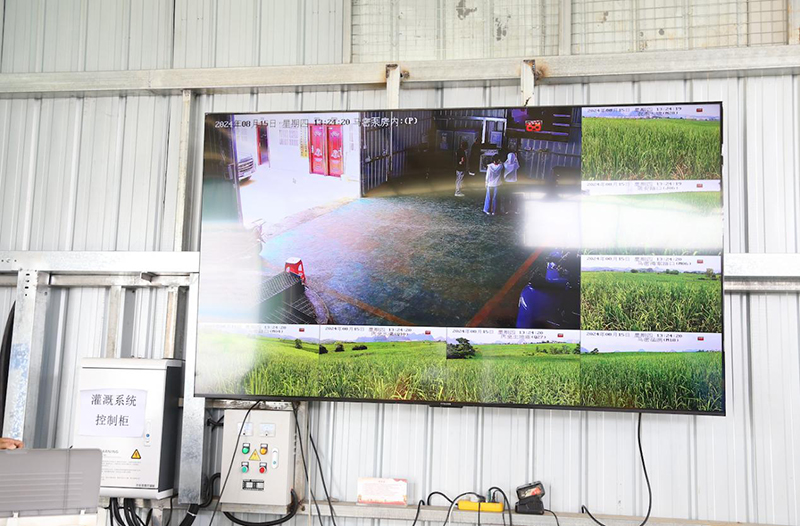 1740533964092065522.jpg 43543543.jpg