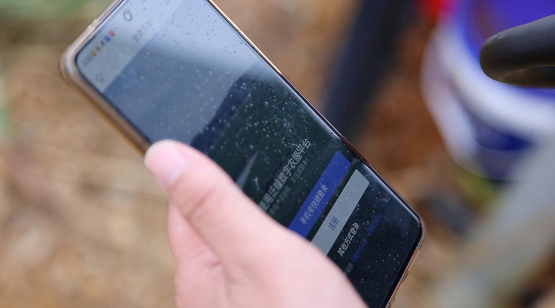 1740534020089095612.jpg 54354353.jpg