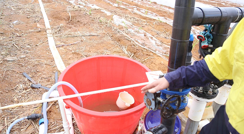 1740534045812060332.jpg 987976.jpg