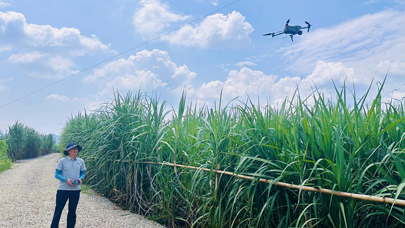 1740534065541015750.jpg 654658.jpg