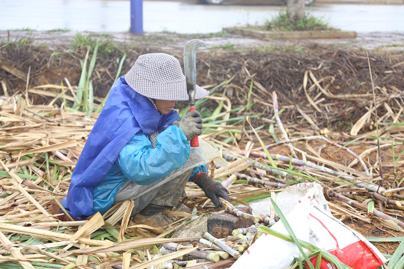 1740534074011011103.jpg 4349.jpg