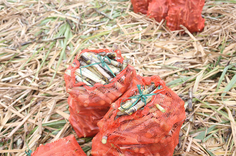 1740534080246031811.jpg 1213410.jpg