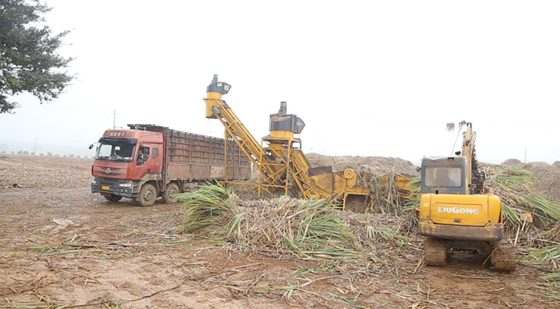 1740534096566095853.jpg 4241.jpg