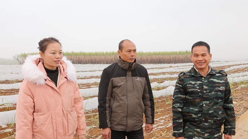 1740534116451091635.jpg 1213413.jpg