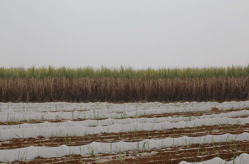 1740534126218024423.jpg 436614.jpg