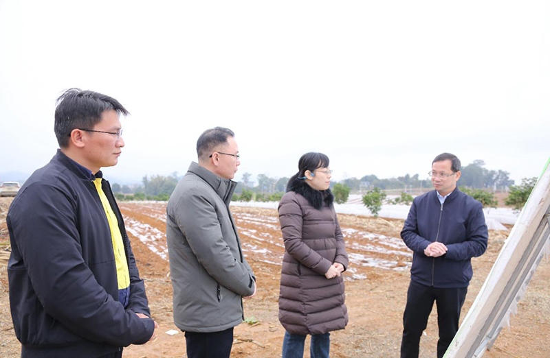 1740534137649079824.jpg 878716.jpg