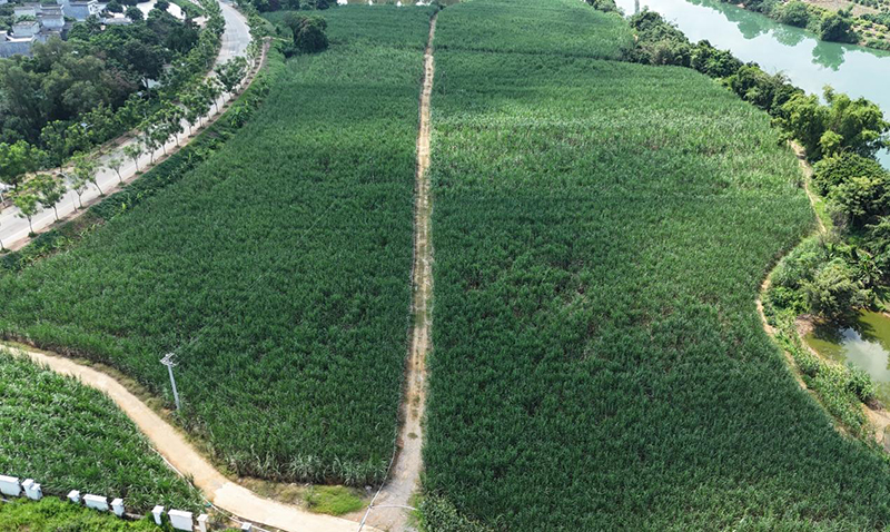 1740534162509007820.jpg 54654619.jpg