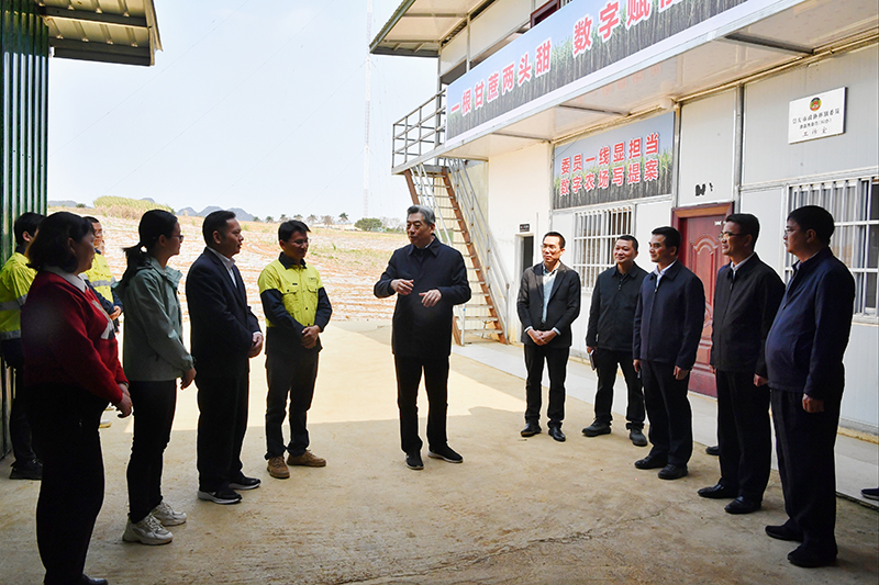 1742534298440016392.jpg 44444545.jpg