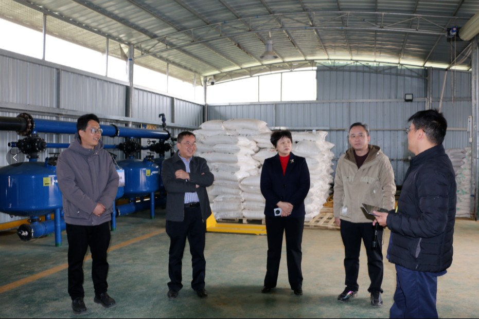 1742887365663095795.jpeg 5432543543.jpeg