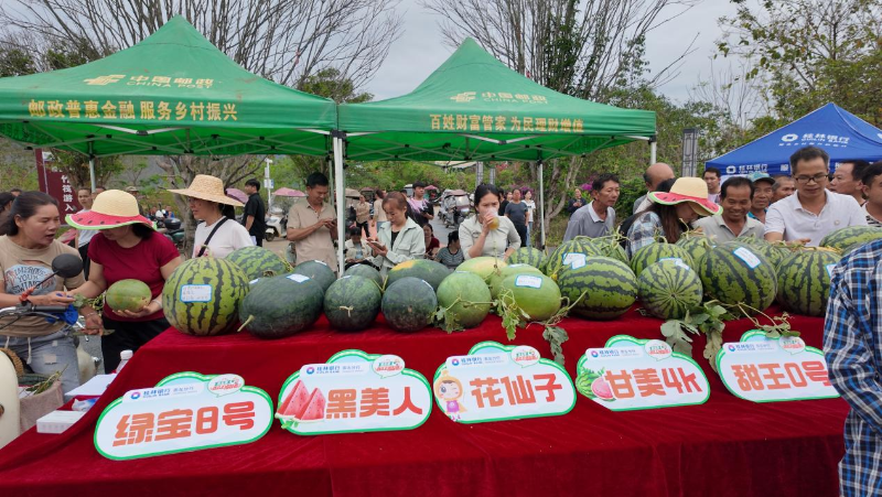 1746753215588033837.png 54354666.png