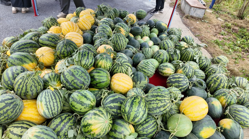 1746753314383038179.png 323.png