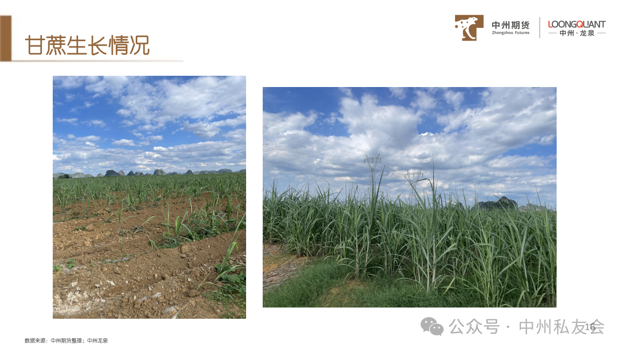 1749433452672079776.png 8adf51d9f7d9877a25069fe5a93b3590.png