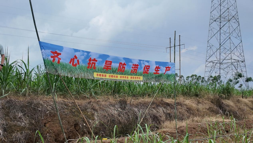 1750325493137068012.png image.png