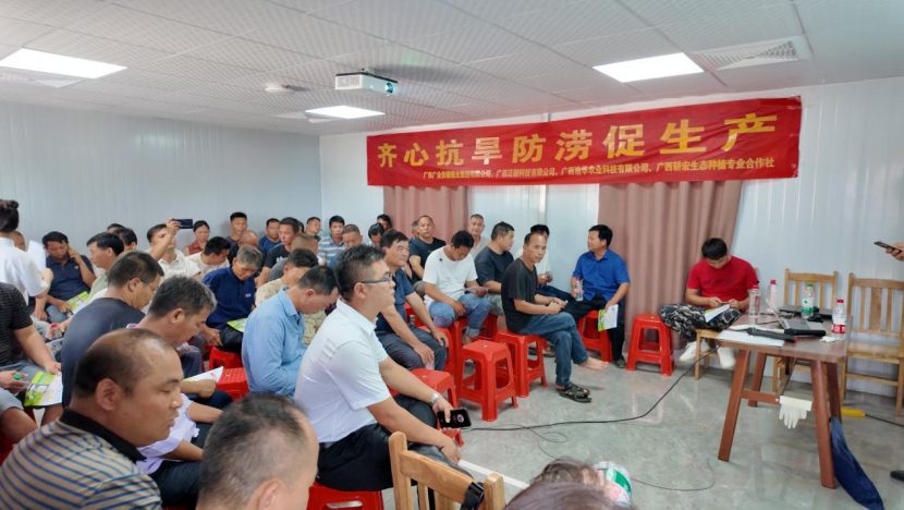 1750325512497086813.png image.png