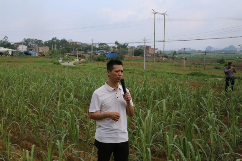 1750325527969007573.png image.png