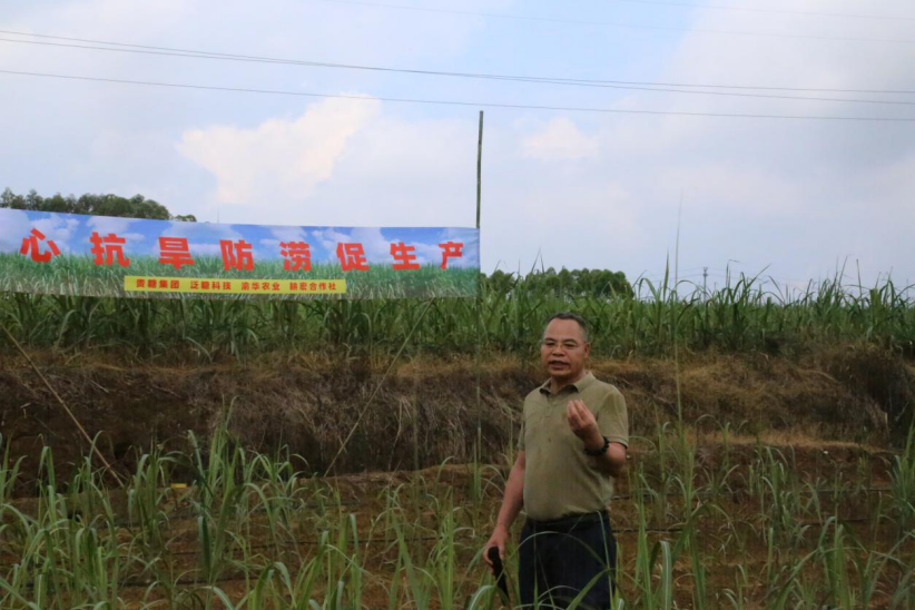 1750325541554049526.png image.png