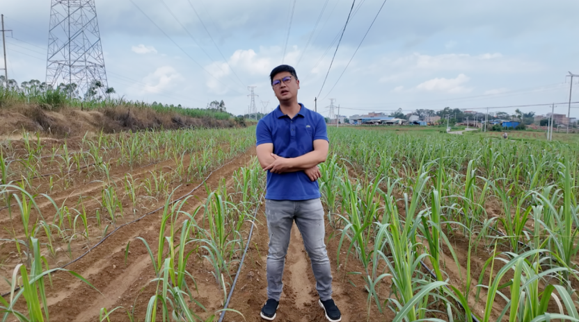 1750325552597072177.png image.png