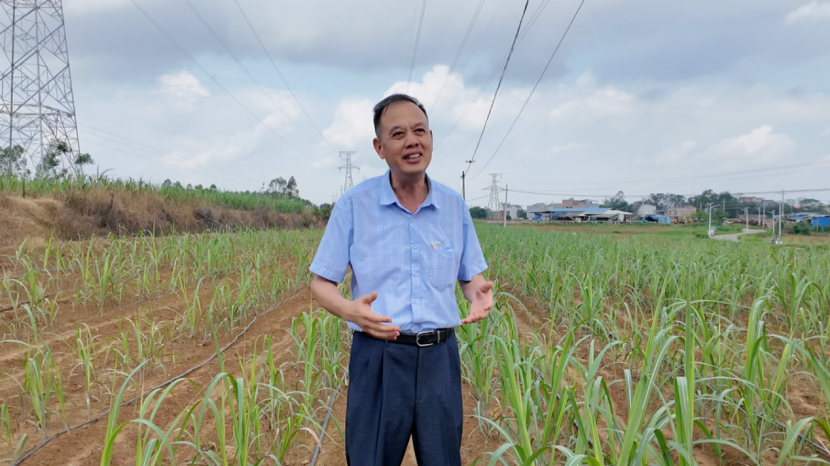 1750325563280009789.png image.png