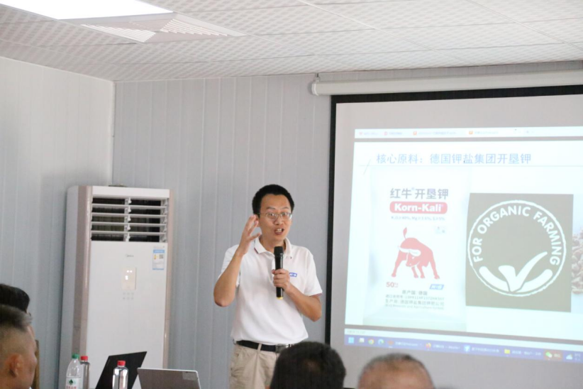 1750325587922029925.png image.png