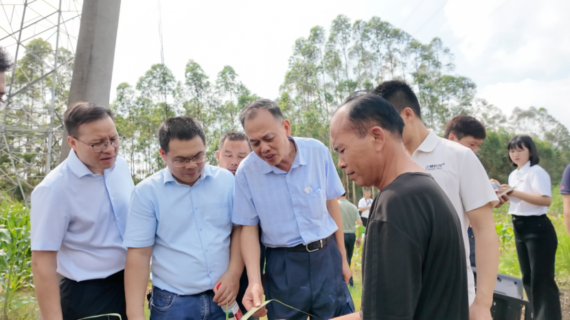 1750325630508006058.png image.png