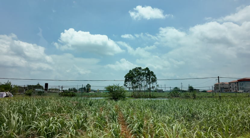 1750325649439001197.png image.png