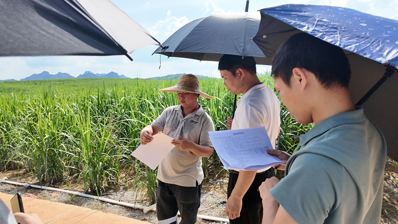 1750905375844093847.png 图片3.png