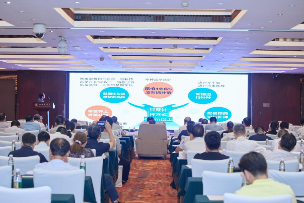 1753843824561041830.png 9bc1241e842fa1e92bd9a4cb14ff3c7.png