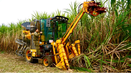 1757573838646013576.png 全国每三勺糖1234.png