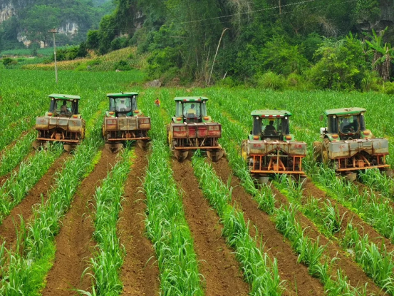 1757573850198054344.png 全国每三勺糖1801.png