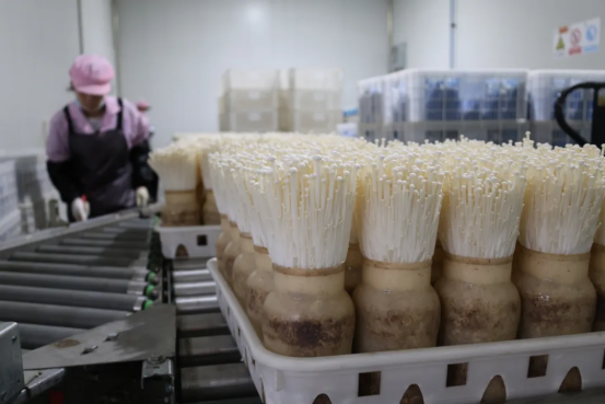 1757573985177043459.png 全国每三勺糖3253.png