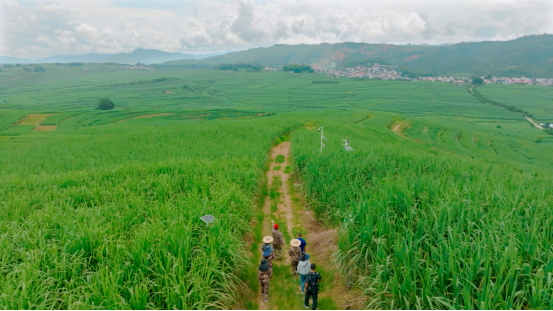 1757919750894087705.png 9项制糖行业标准正式发布3317.png