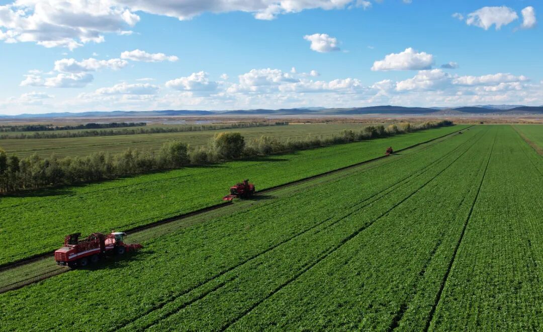 1758093027139049544.jpg 640.jpg