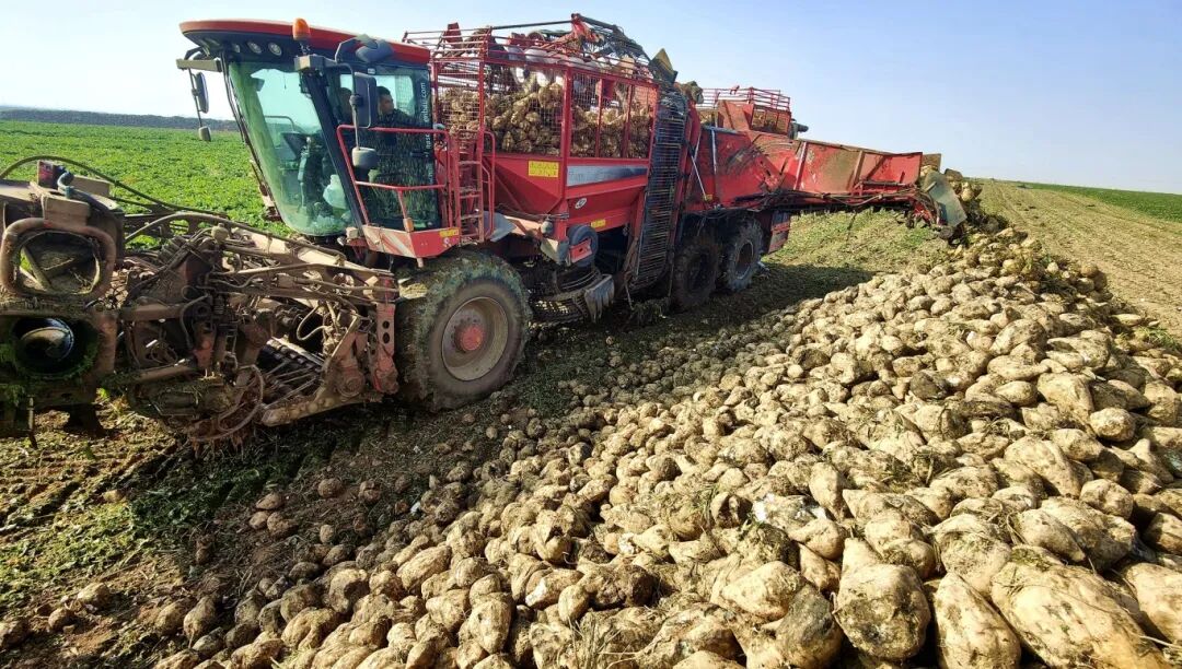 1762389819389096010.jpg 54c3a14fb9e275720b1a4635495cd19a.jpg