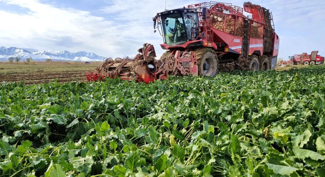 1762389870393075117.jpg 9ce4ab08fa7d9a8a65c610239c8905ce.jpg