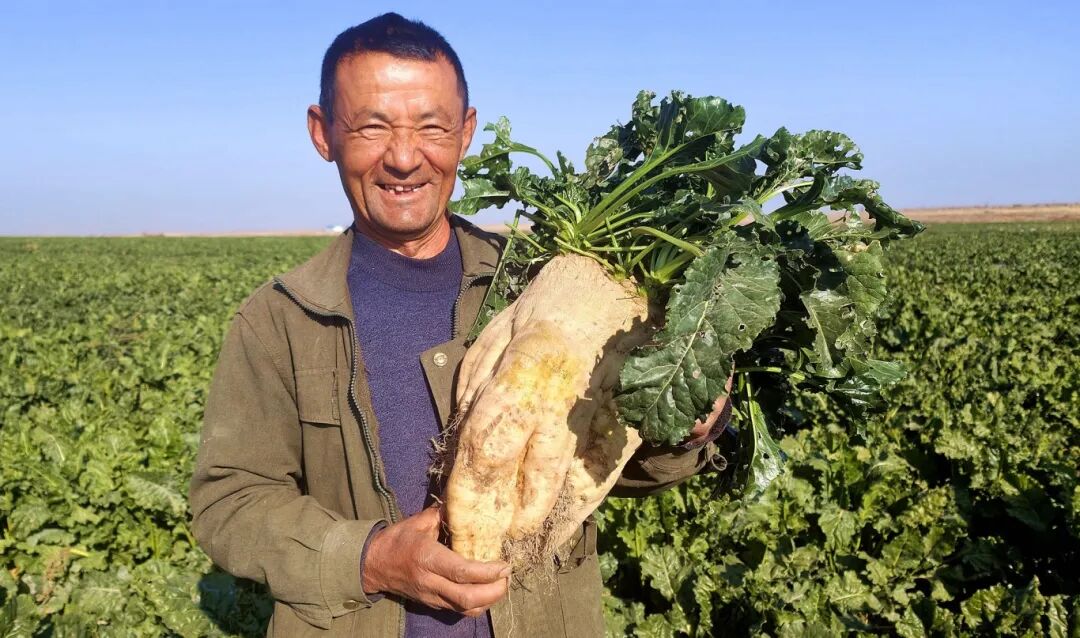 1762389886652089565.jpg f4867644b47ee56922c69f4027064b70.jpg