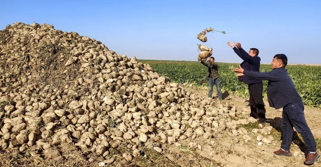 1762389905213006426.jpg 4ecf7c82f0fcffda8d986ab9c6d2dddf.jpg