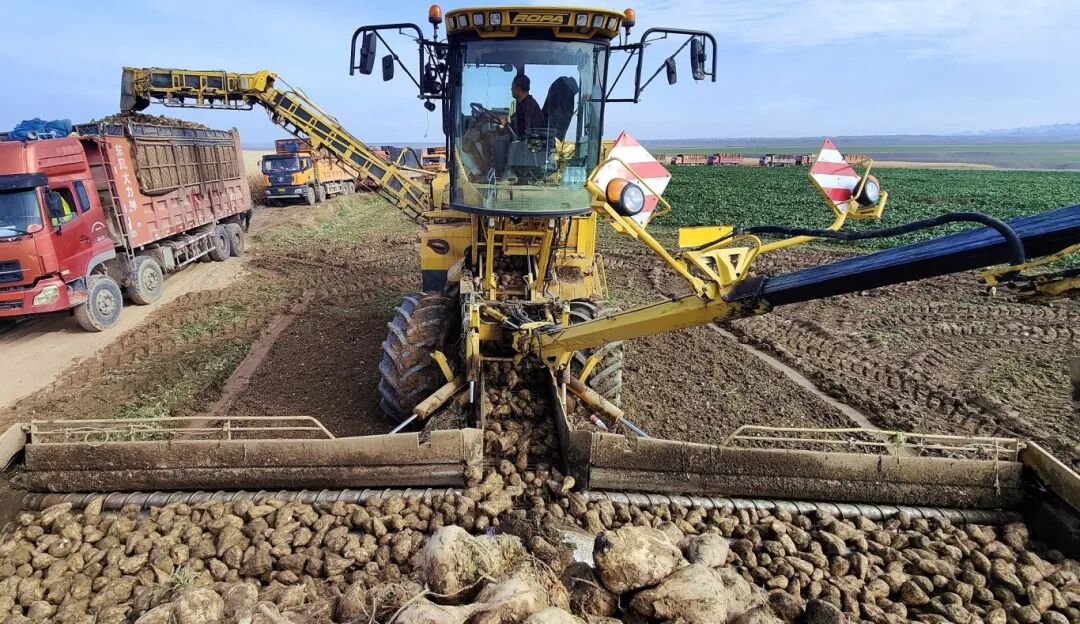 1762389940148065283.jpg 527c693215021de7de39a331d85056cf.jpg