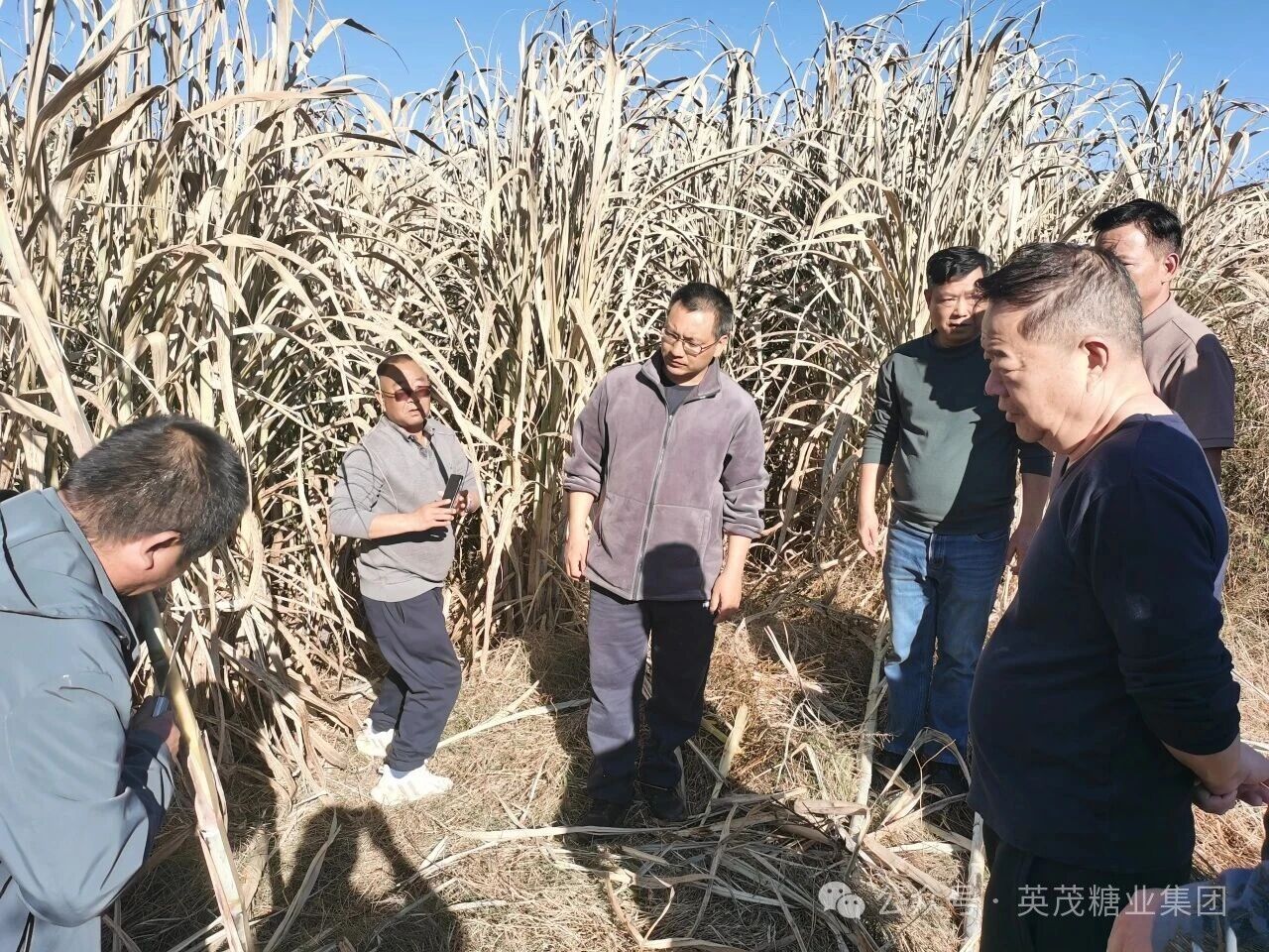 1764831344058098112.jpg bcf368e73a0436251b289bbfae0b54a3.jpg