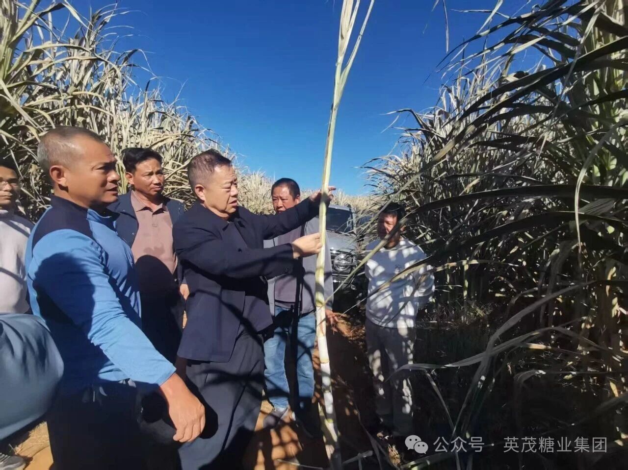 1764831362298059384.jpg 624d4f6749593fd51f56aab2b842fa42.jpg