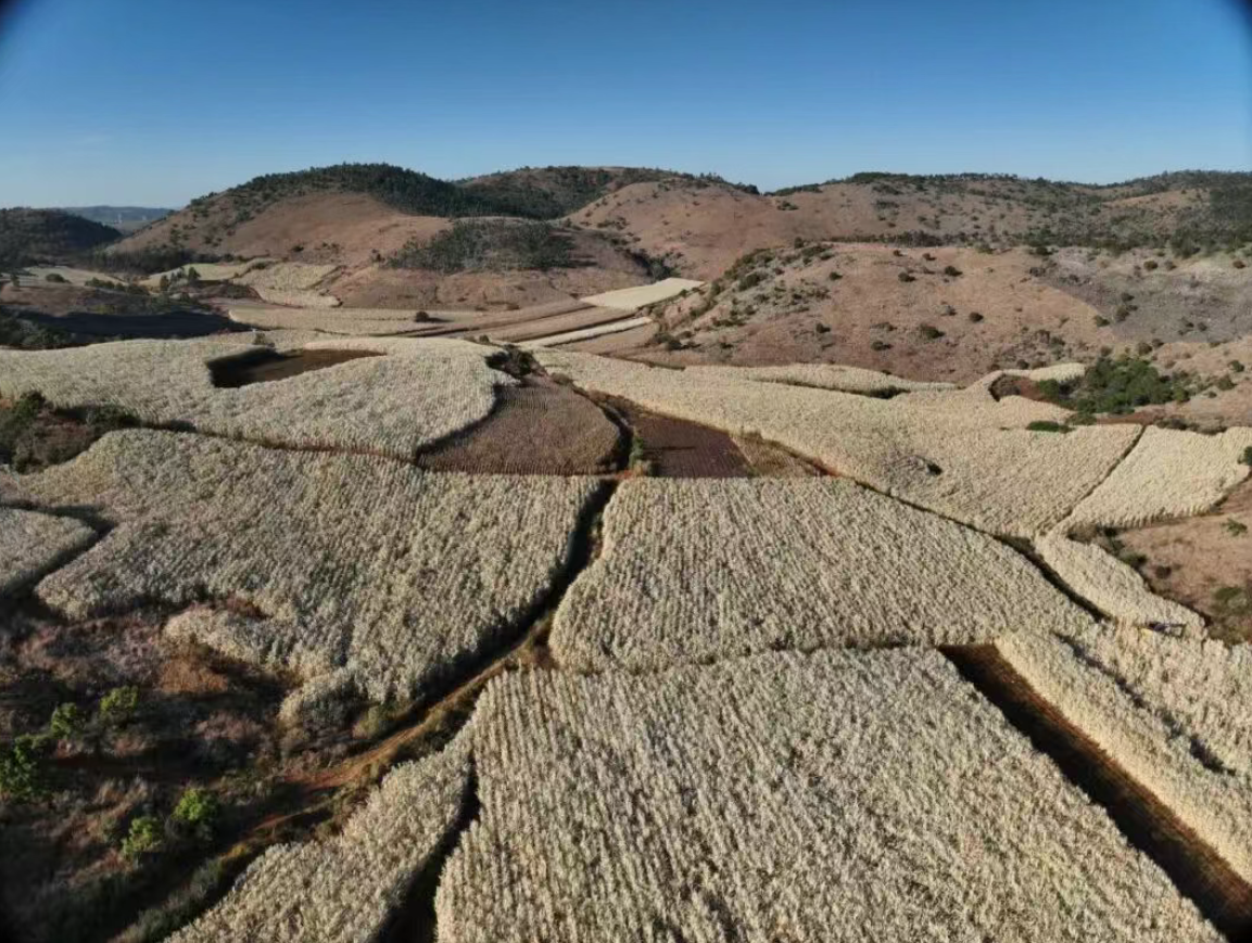 1764831501065003821.png f5318f341c69cf9d656e3ce831ec150e.png