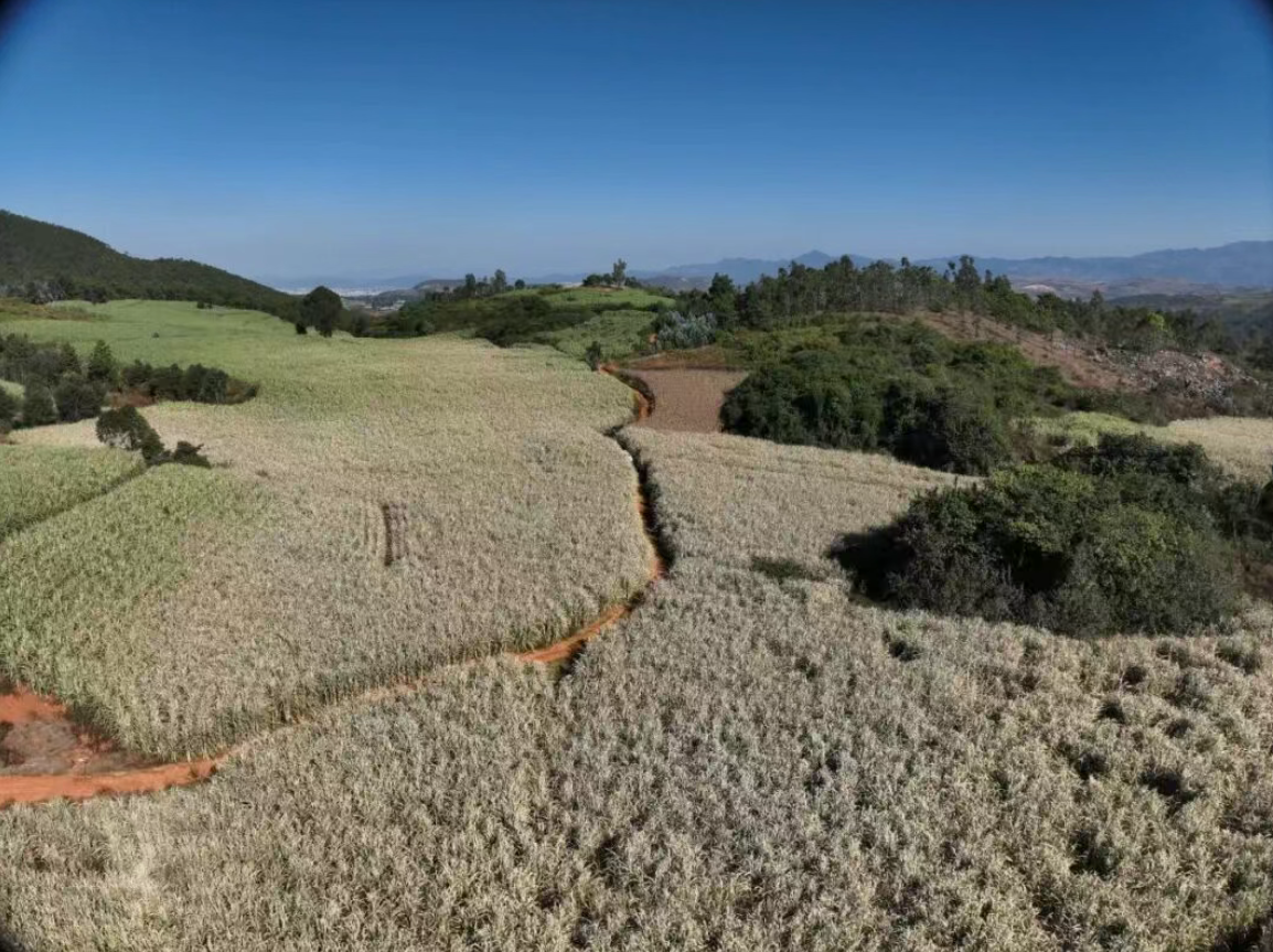 1764831517212068801.png b9804527cc75d20d2ee578c19b905cbb.png