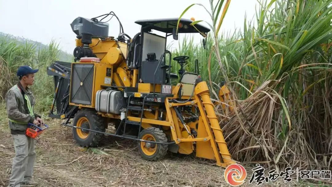 1766038117500081016.jpg 640.jpg