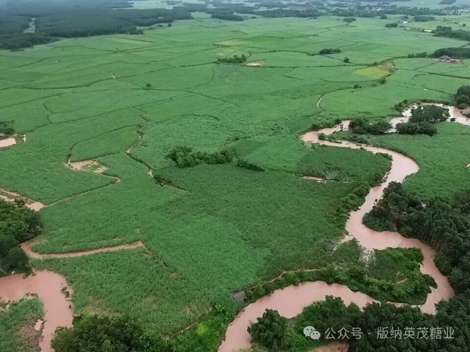 1786687112192071746.jpg 79817afb168a6d7c9b9958b6f51d16e8.jpg